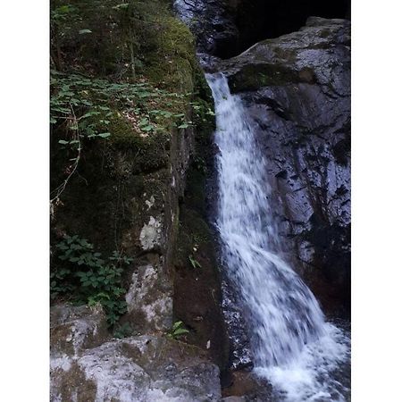 Heimatglueck Schwarzwald Vila Lautenbach Exterior foto